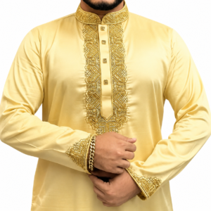 Luxurious vip panjabi code-507