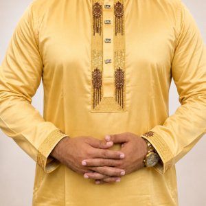 Luxurious vip panjabi code-502