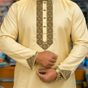 Luxurious vip panjabi code-509